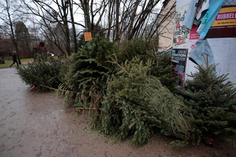 Kaum ist Weihnachten rum, fliegen die Bäume aus den Wohnungen. Archivfoto: Guido Schiek 