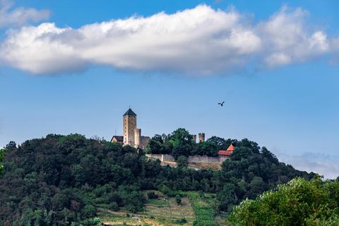 1065 erbaute das Kloster Lorsch die Starkenburg als Schutzburg auf dem 295 Meter hohen Schlossberg. Am 24. September bietet die Stadt auf der Burg ein Fest für Familien an.