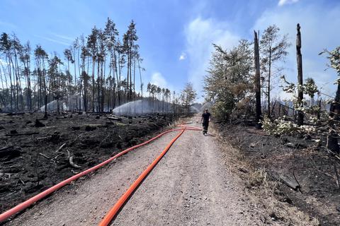 Beim Waldbrand unweit des Muna-Geländes in Münster sind rund 34 Hektar Wald verbrannt, jetzt steht die Schadenshöhe fest.                