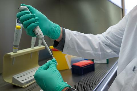 Ein Forscher führt einen PCR-Test für die Analyse auf Mutationen des Coronavirus durch. Foto: dpa