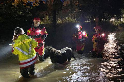 Die Tierretter haben bei der Hochwasserkatastrophe in Nordrhein-Westfalen und Rheinland-Pfalz viele Tiere gerettet. Hier ziehen sie ein Pony aus dem Schlamme. Foto: Stephan Witte